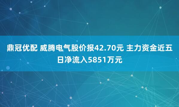 鼎冠优配 威腾电气股价报42.70元 主力资金近五日净流入5851万元