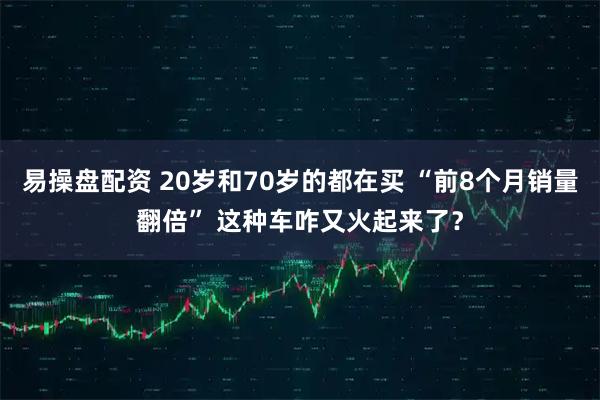 易操盘配资 20岁和70岁的都在买 “前8个月销量翻倍” 这种车咋又火起来了？