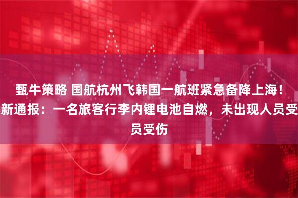 甄牛策略 国航杭州飞韩国一航班紧急备降上海！最新通报：一名旅客行李内锂电池自燃，未出现人员受伤