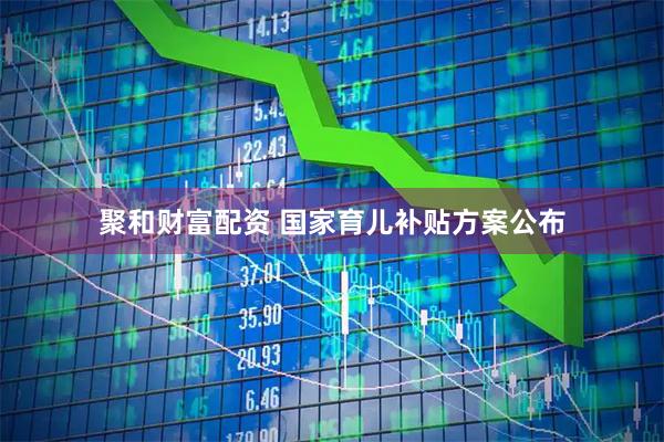 聚和财富配资 国家育儿补贴方案公布