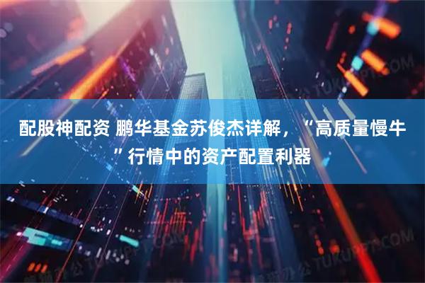 配股神配资 鹏华基金苏俊杰详解，“高质量慢牛”行情中的资产配置利器