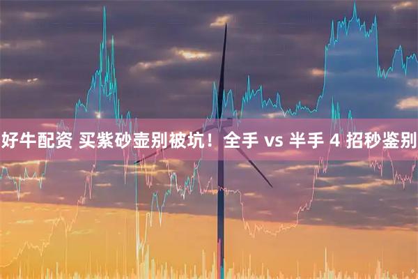 好牛配资 买紫砂壶别被坑！全手 vs 半手 4 招秒鉴别